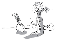 Karotte und Zwiebel 5.jpg